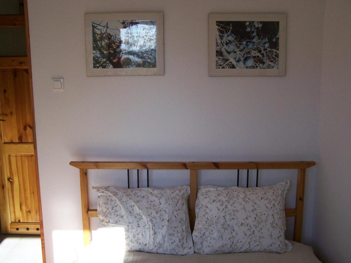 Bright Side Apartment Koszutka Katowice Ngoại thất bức ảnh